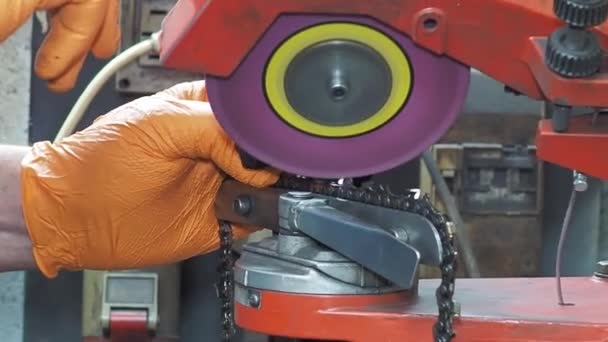 Close Worker Hands Sharpening Chainsaw Abrasive Disc Machine — Stockvideo