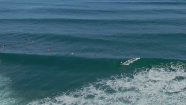 Luchtfoto Van Paddle Boarder Vangt Een Golf Laniakea Strand — Stockvideo