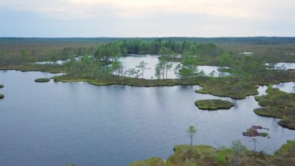 Όμορφη Εναέρια Άποψη Του Τοπίου Βάλτων Λίμνες Μια Ηλιόλουστη Μέρα — Αρχείο Βίντεο