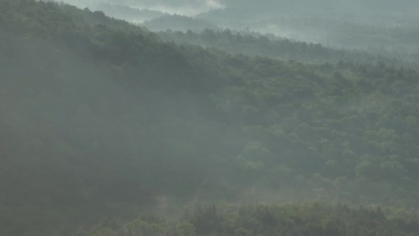 霧に覆われた山岳森林地帯の上で夜明け — ストック動画