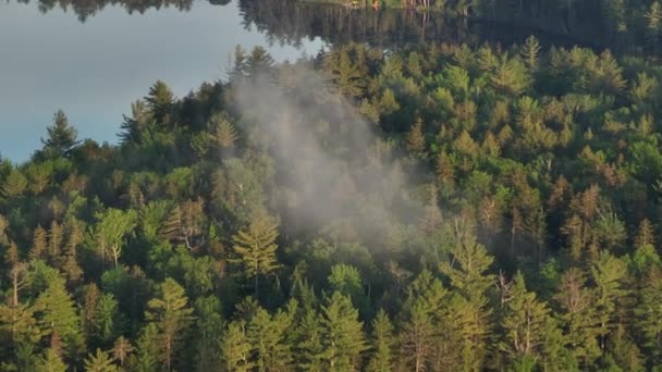 Awan Udara Spektakuler Curah Hujan Atas Hutan Oleh Danau — Stok Video