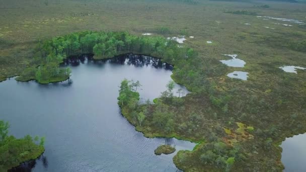 Krásný Letecký Výhled Bažinatou Krajinu Jezery Slunečného Letního Dne Rašeliniště — Stock video