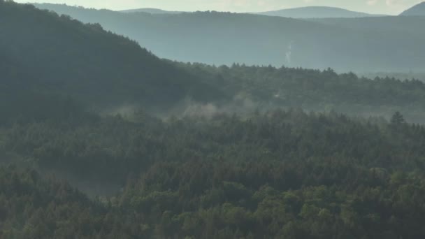 Früh Morgens Antenne Über Nebelbedeckter Waldwildnis — Stockvideo