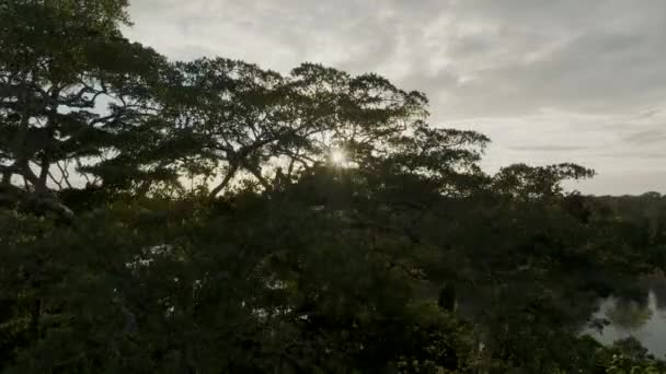 Cenário Pôr Sol Rio Amazonas Equador Tomada Aérea Drone — Vídeo de Stock