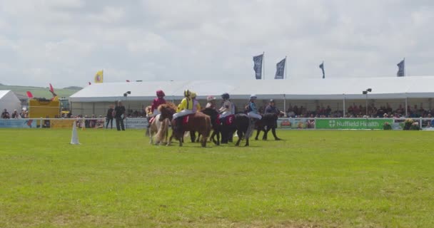 カラフルなジョッキーシルクの中に身を包んだ若い子供たちレースの準備でサイクリングポニーに乗る スローモーション — ストック動画