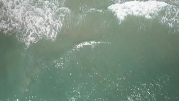 Waves Breaking Beach Shoreline Tracking Aerial Overhead Shot — Vídeo de stock