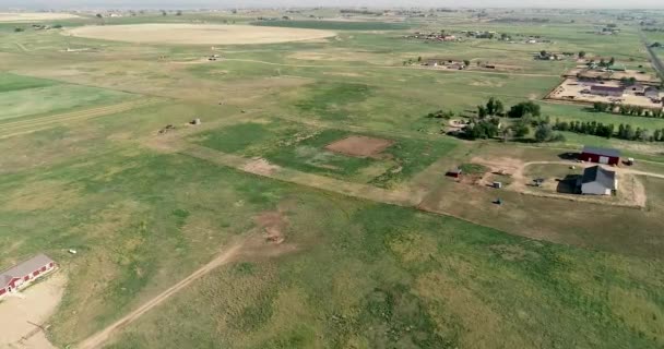 Early Summer Ranch Paddocks Northern Colorado Weld County June 2022 — Vídeo de stock