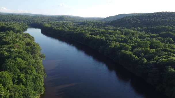 Vista Aérea Con Vistas Río Los Árboles — Vídeos de Stock