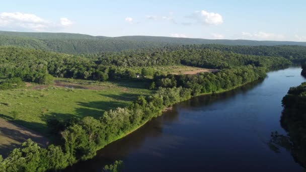 Vista Aérea Con Vistas Río Los Árboles — Vídeos de Stock