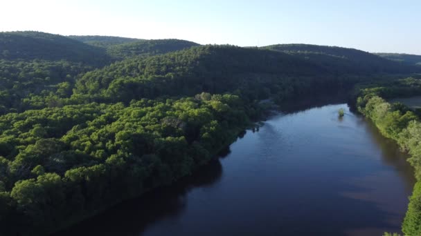 Vue Aérienne Sur Rivière Les Arbres — Video