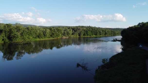 Vista Aérea Con Vistas Río Los Árboles — Vídeos de Stock