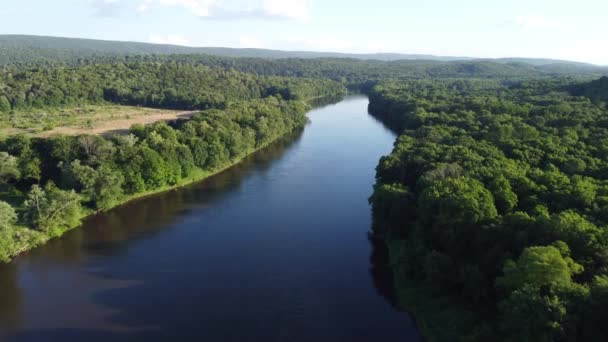 川や木を見下ろす空中風景 — ストック動画