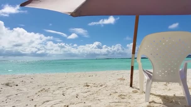 Cadeiras Praia Vazias Vista Mar Horizon Brilhando Areia Branca Exótica — Vídeo de Stock