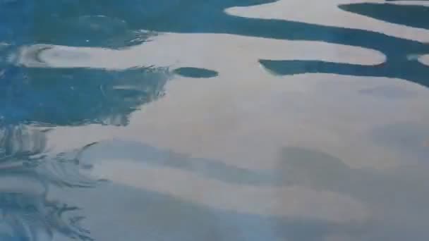 池の波や水の波紋の映像です 抽象的な映像 プールのHdビデオ — ストック動画
