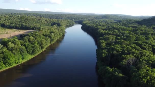 俯瞰河流和树木的鸟瞰 — 图库视频影像