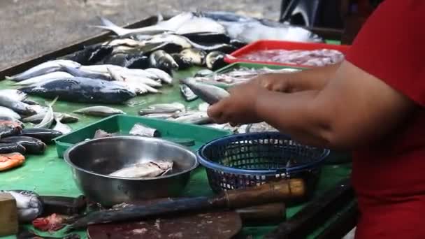 Fresh Sea Fish Seller Traditional Market Depok West Java Indonesia — Stock Video
