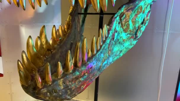 Increíble Pieza Arte Oro Cráneo Dinosaurio Raro Cabeza Tiranosaurio Con — Vídeos de Stock