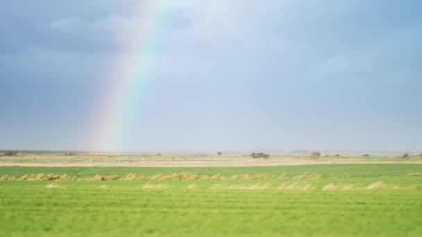 一片淡淡的彩虹在绿油油的田野上方浅蓝色的天空中 慢动作 随波逐流 — 图库视频影像