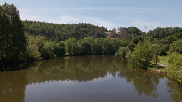 Bujna Liściasta Przyroda Wzdłuż Brzegów Rzeki Sieg Nadrenii Północnej Westfalii — Wideo stockowe