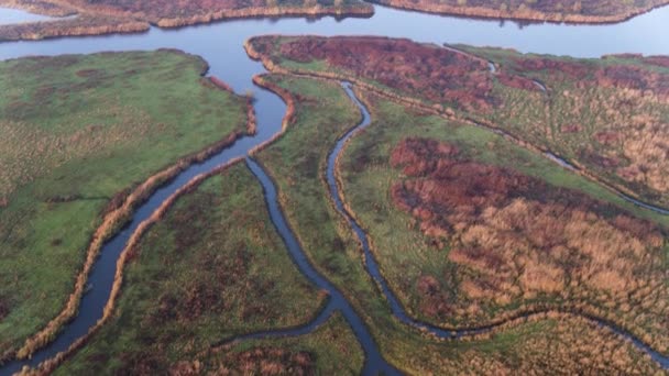 オランダのデルタ地帯から分岐する複数の水路の空中ドローンショットは カラフルな田舎に囲まれています — ストック動画