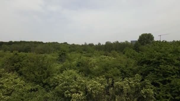 Промислові Будівлі Позаду Пишного Лісу Ешборні Німеччина Повітряний Єдестал — стокове відео