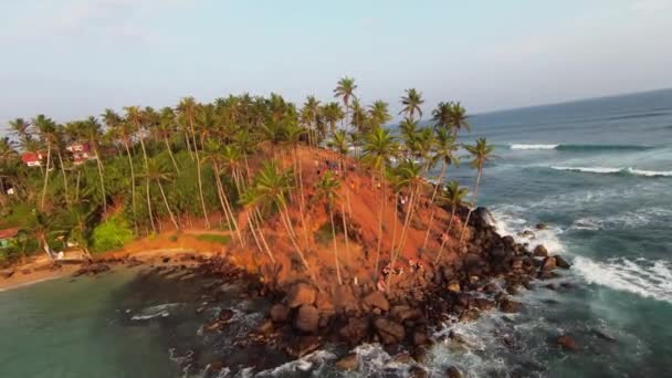 Fpv Drone Colpo Albero Piccola Isola Vicino Alla Spiaggia Onde — Video Stock