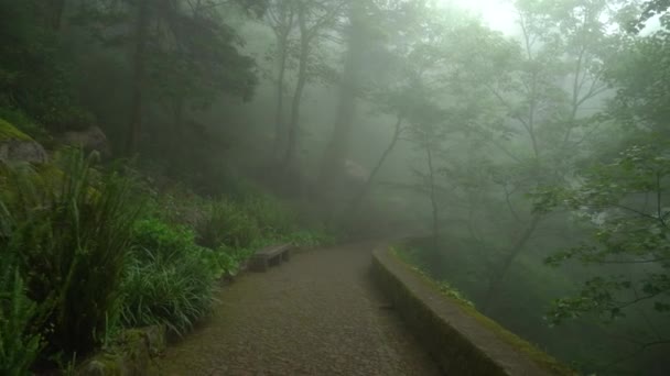 Steinpfad Führt Durch Nebel Und Nebel Villa Sassetti Trail — Stockvideo