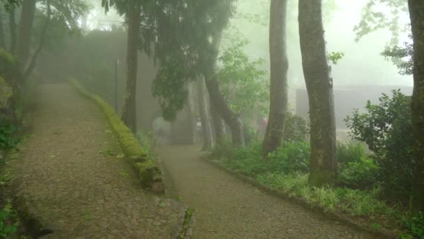 Tourists Walking Moors Castle Covered Mysterious Fog — Vídeo de Stock