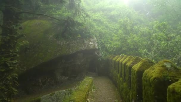 Ancient Old Moors Castle Defensive Wall Covered Greenery Moss — Stockvideo