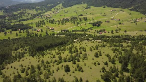Nsansız Hava Aracı Görüntüleri Genç Çam Ormanları Güzel Dağ Yeşili — Stok video