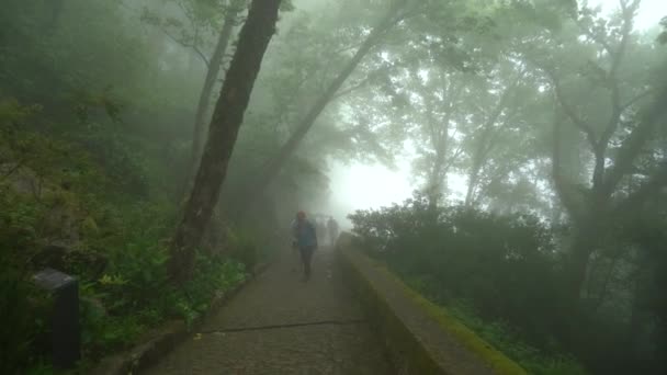 Mensen Die Wandelen Het Stenen Pad Dat Leidt Door Mist — Stockvideo