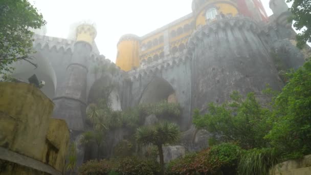 Красивый Старинный Замок Пена Покрыт Туманом Туманом — стоковое видео