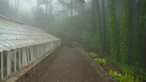 位于佩纳花园公园 窗户开着的绿屋覆盖着浓密的雾 另一边覆盖着树叶 — 图库视频影像