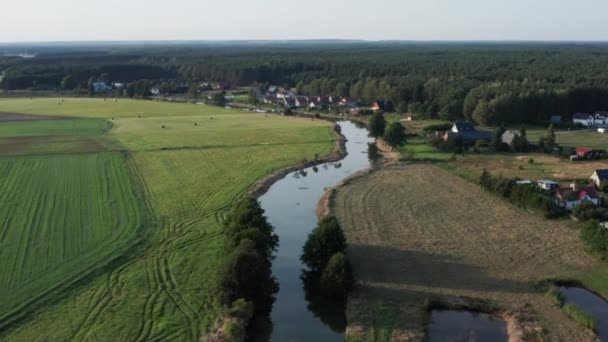 Zdjęcie Lotu Ptaka Zakrzywionej Rzeki Wśród Pól Gospodarstw Małej Wioski — Wideo stockowe