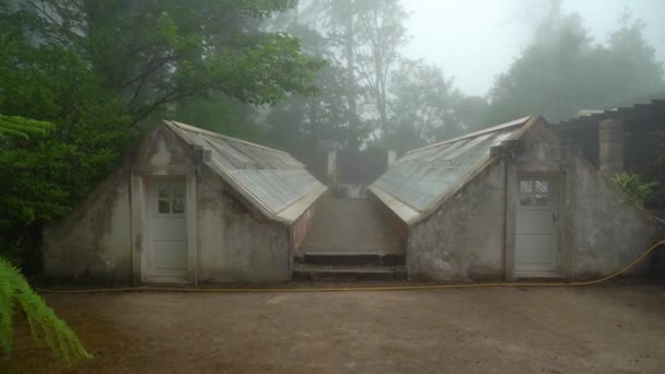Invernaderos Cubiertos Niebla Gruesa Pena Garden Park — Vídeo de stock