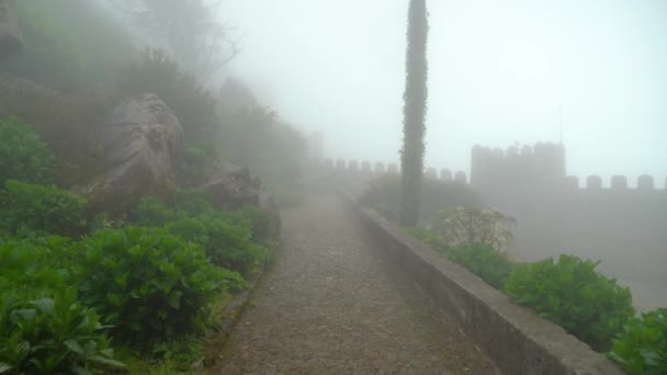Pokrycie Mgły Cała Ścieżka Kamienna Wrzosowiskach Zamek — Wideo stockowe