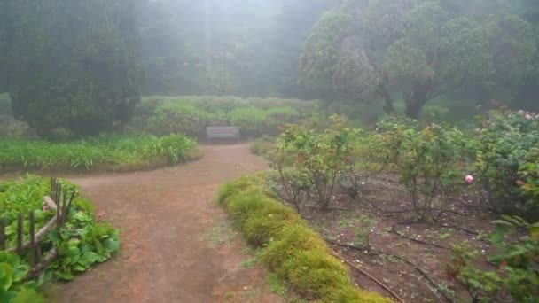 Misteriosa Nebbia Che Copre Intera Area Del Parco Pena — Video Stock