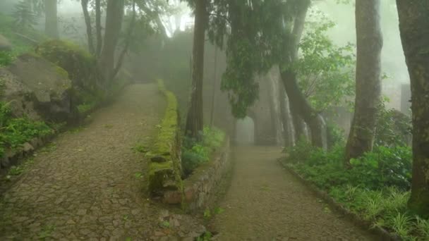 Entrée Principale Dans Château Des Maures Couverte Brouillard Épais Avec — Video