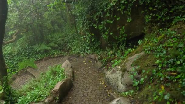 Steep Narrow Stone Path Pena Park Misty Day — Stockvideo