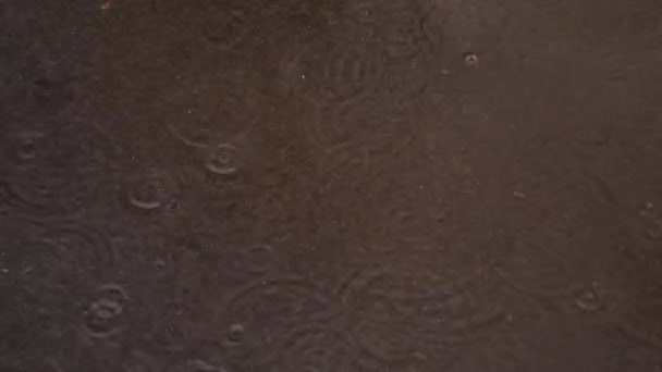 Close Abstract Shot Water Droplets Sand — Stockvideo