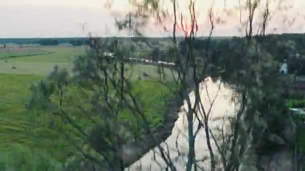 空中的乡村拍摄 相机从一棵树后上升 揭示了在宏伟的乡村风景中的一条弯曲的河流 田野和森林可见 — 图库视频影像