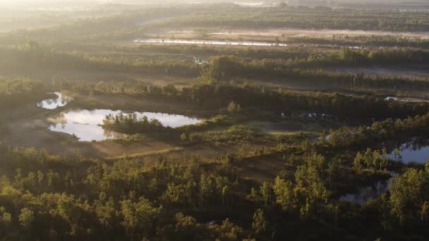 Luchtfoto Van Drone Vliegen Langzaam Natte Bossen Van Een Rivierdelta — Stockvideo