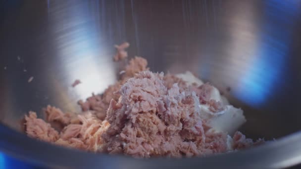 Canned Tuna Low Fat Cheese Mayonnaise Mixing Bowl Seasoned Salt — Stockvideo