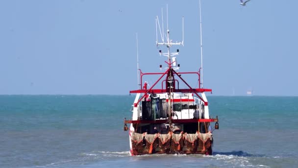 Vieiras Arrastão Barco Pesca Flutuando Porto Normandia França Tiro Médio — Vídeo de Stock
