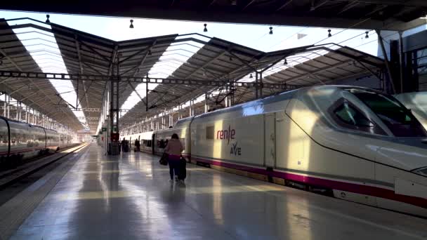 Renfe High Speed Train Waiting Spanish Train Station — Vídeo de Stock