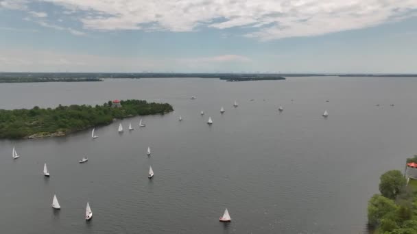 夏の日に湖に沿って帆のボートの空中ショットグループ — ストック動画