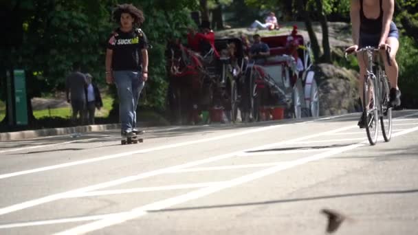 Fietsen Passeren Central Park Nyc — Stockvideo