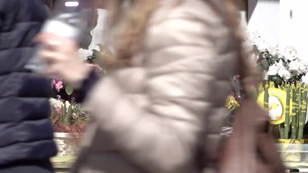 Verschiedene Blumen Auf Einem Ostermarkt Viele Farben Vorübergehende Menschen Vordergrund — Stockvideo