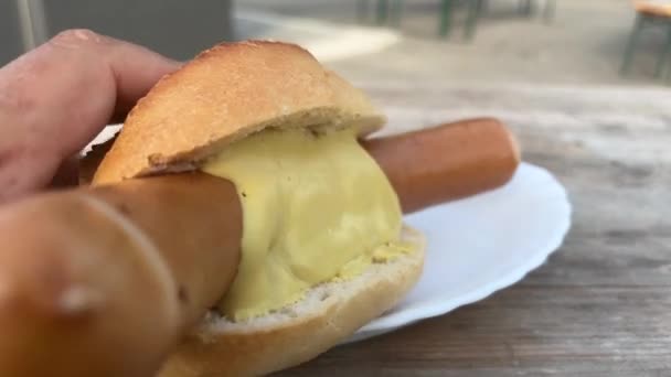 Comer Salsicha Porco Longo Fechar — Vídeo de Stock