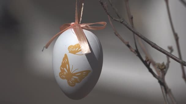 Decorative Easter Egg Hanging Some Twigs Golden Butterflies Have Been — Stock Video